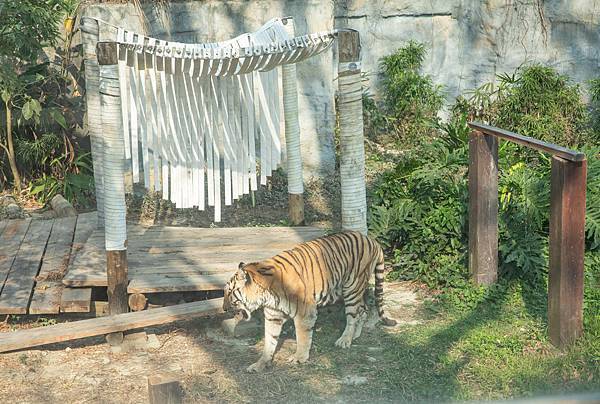 🙈壽山動物園在高雄｜童年記憶的起點