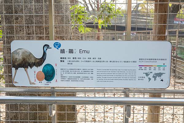 🙈壽山動物園在高雄｜童年記憶的起點