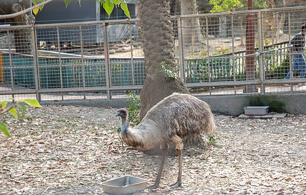 🙈壽山動物園在高雄｜童年記憶的起點