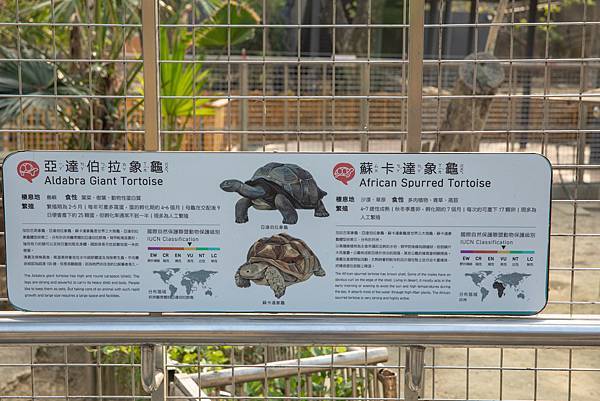 🙈壽山動物園在高雄｜童年記憶的起點