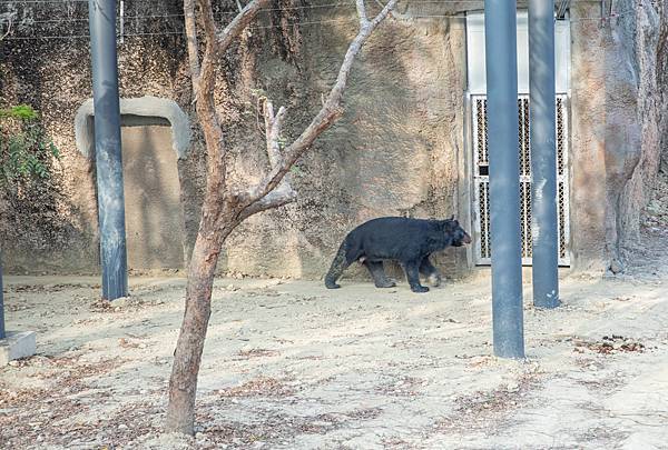 🙈壽山動物園在高雄｜童年記憶的起點