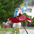 DSCN5581.JPG