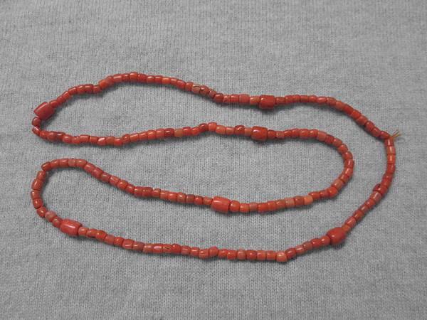 IMG_2911.jpg IMG_2911.jpg