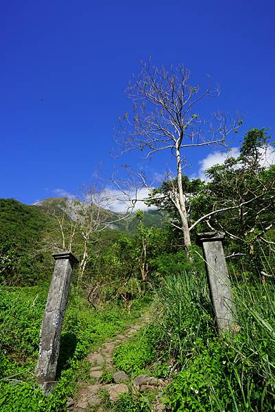 DSC05913_調整大小.jpg DSC05913_調整大小.jpg