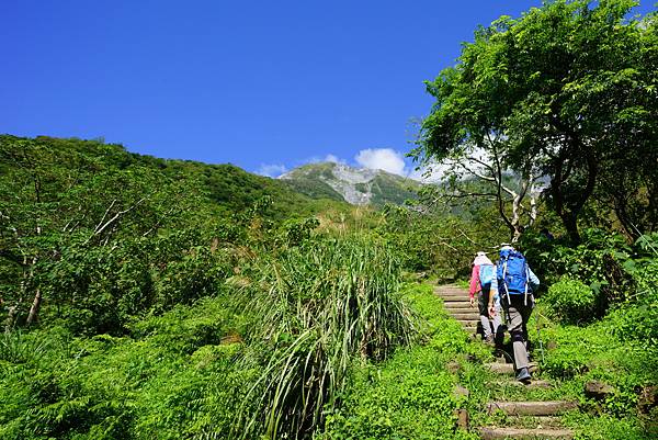 DSC05919_調整大小.jpg DSC05919_調整大小.jpg