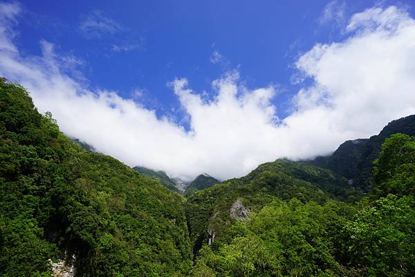 DSC05933_調整大小.jpg DSC05933_調整大小.jpg