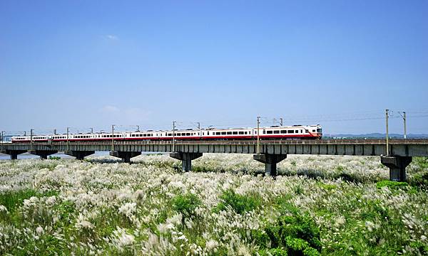 DSC09287.jpg DSC09287.jpg