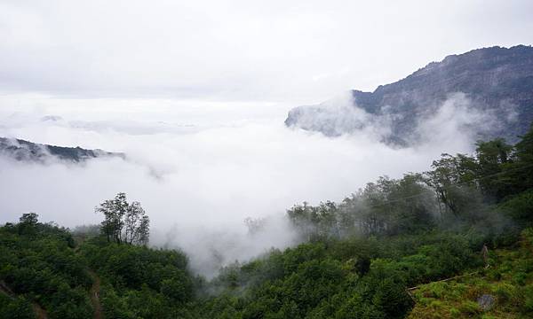 DSC00322.jpg DSC00322.jpg