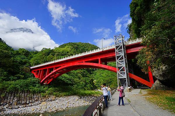 開車環半島