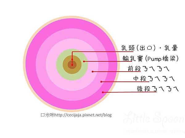 簡報2