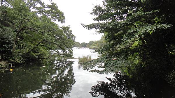 吉祥寺，井之頭公園