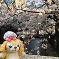 写真 2019-04-06 16 01 58.jpg