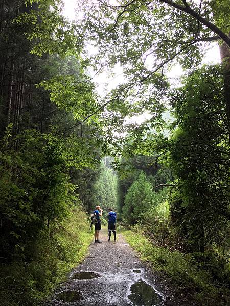 写真 2019-07-28 11 05 58.jpg