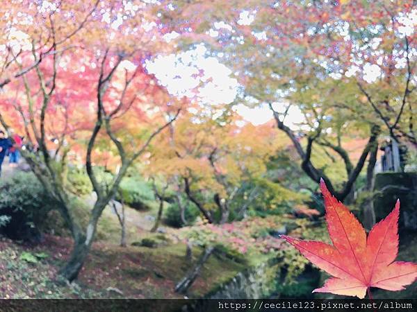 写真 2019-11-21 14 04 27.jpg