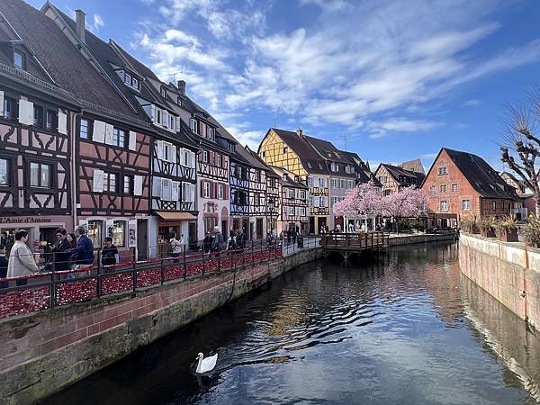 【Annex XI.】Alsace