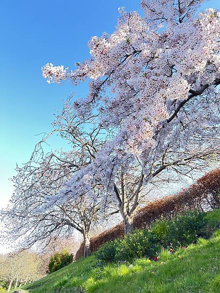 【Chapter XXI.】Make hay while t