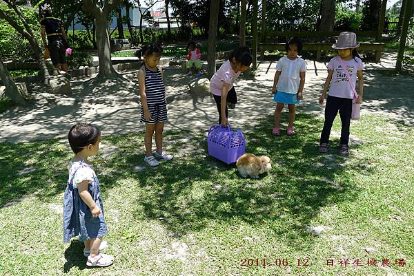 日祥生機農場_20110612.jpg