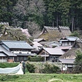 日本京都