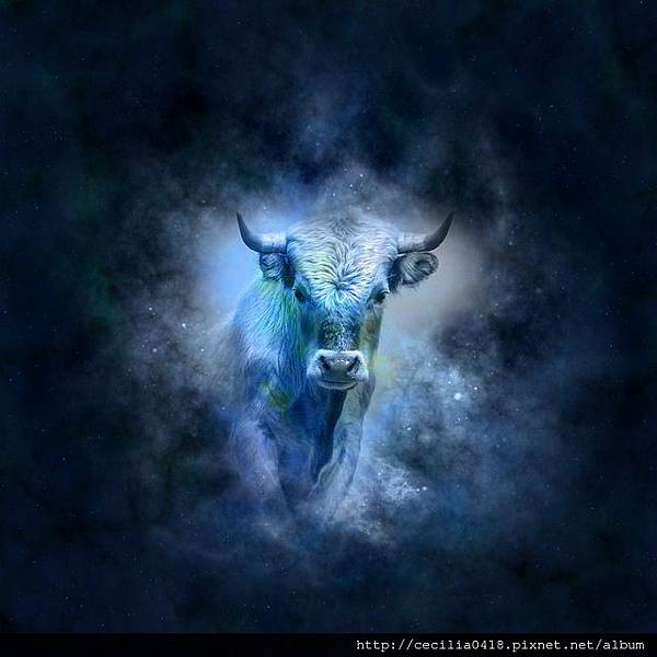 horoscope-Taurus.jpg
