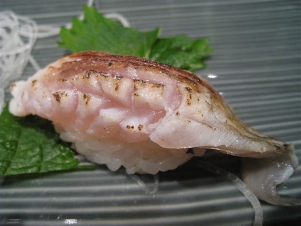 梭子魚2.jpg