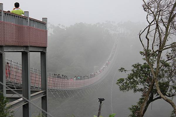 【南投】猴探井天空之橋+微熱山丘 