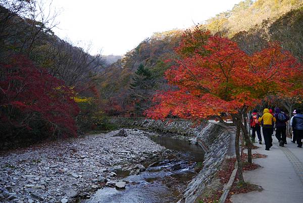 【2012＊韓國＊】內藏山國立公園 ~ 美麗楓葉