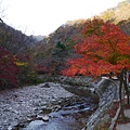 【2012＊韓國＊】內藏山國立公園 ~ 美麗楓葉