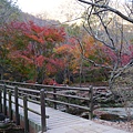 【2012＊韓國＊】內藏山國立公園 ~ 美麗楓葉