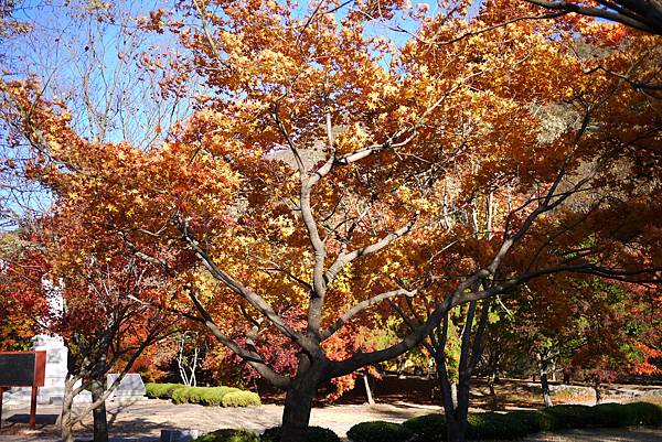 【2012＊韓國＊】內藏山國立公園 ~ 美麗楓葉