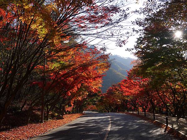 【2012＊韓國＊】內藏山國立公園 ~ 美麗楓葉