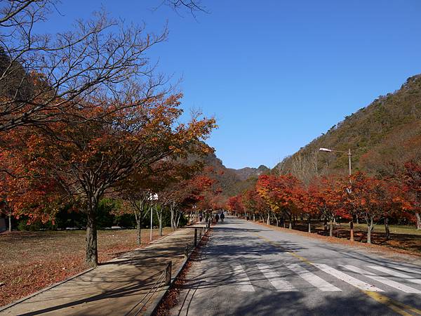 【2012＊韓國＊】內藏山國立公園 ~ 美麗楓葉