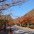 【2012＊韓國＊】內藏山國立公園 ~ 美麗楓葉