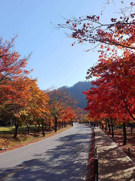 【2012＊韓國＊】內藏山國立公園 ~ 美麗楓葉