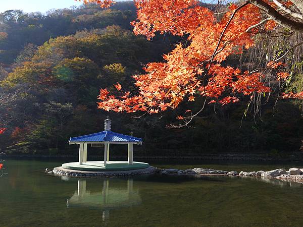 【2012＊韓國＊】內藏山國立公園 ~ 美麗楓葉