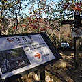 【2012＊韓國＊】內藏山國立公園 ~ 美麗楓葉