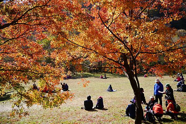 【2012＊韓國＊】內藏山國立公園 ~ 美麗楓葉