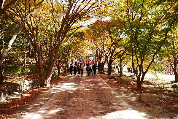 【2012＊韓國＊】內藏山國立公園 ~ 美麗楓葉