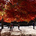 【2012＊韓國＊】內藏山國立公園 ~ 美麗楓葉