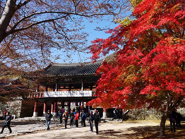 【2012＊韓國＊】內藏山國立公園 ~ 美麗楓葉