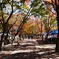 【2012＊韓國＊】內藏山國立公園 ~ 美麗楓葉