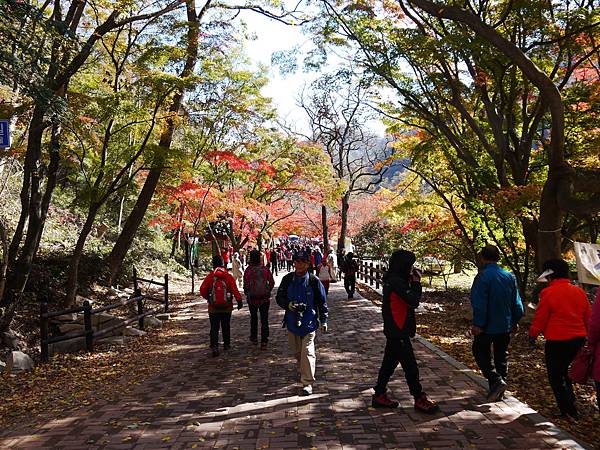 【2012＊韓國＊】內藏山國立公園 ~ 美麗楓葉