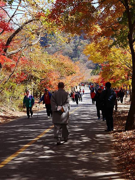 【2012＊韓國＊】內藏山國立公園 ~ 美麗楓葉