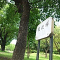 P1140567_结果.JPG