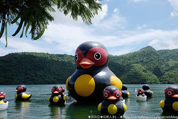 DSCF8773_结果.JPG DSCF8773_结果.JPG