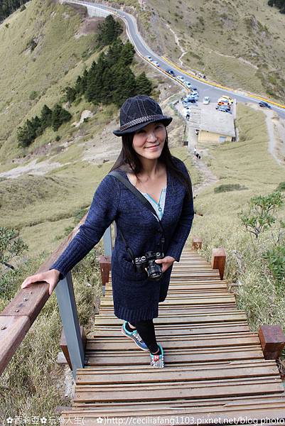 IMG_8339_结果.JPG IMG_8339_结果.JPG