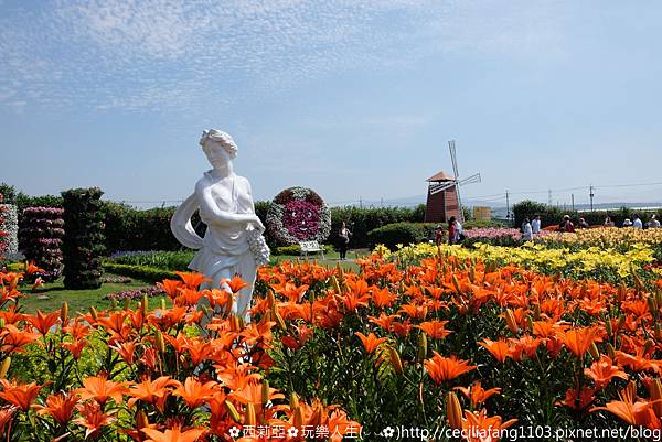 台中后里區｜中社觀光花市 哇~百花齊放浪漫氛圍，陣陣花香瀰漫