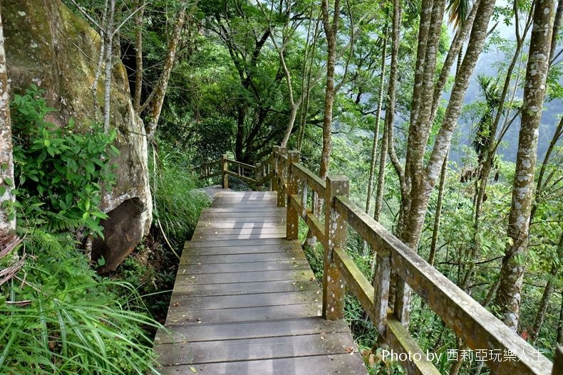 嘉義梅山鄉｜竹坑溪步道 2023年7月重新開放囉！全台負離子