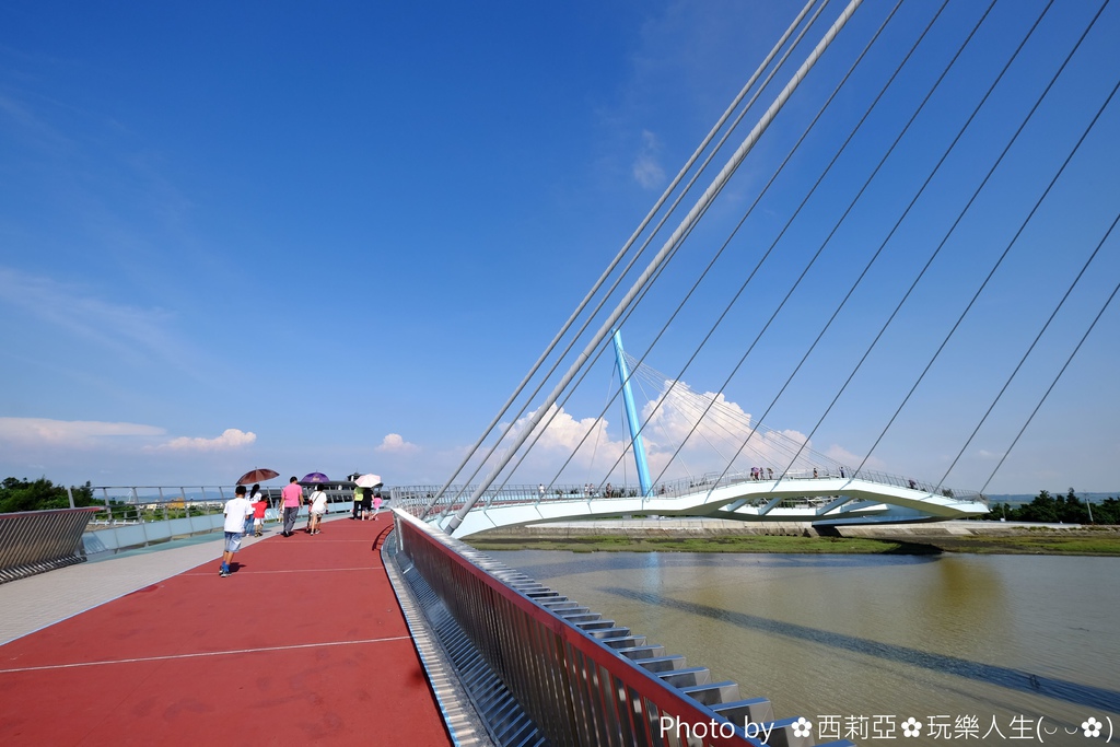 台中清水區｜高美濕地景觀橋 台中海線最美之雙塔柱雙弧曲線橋 