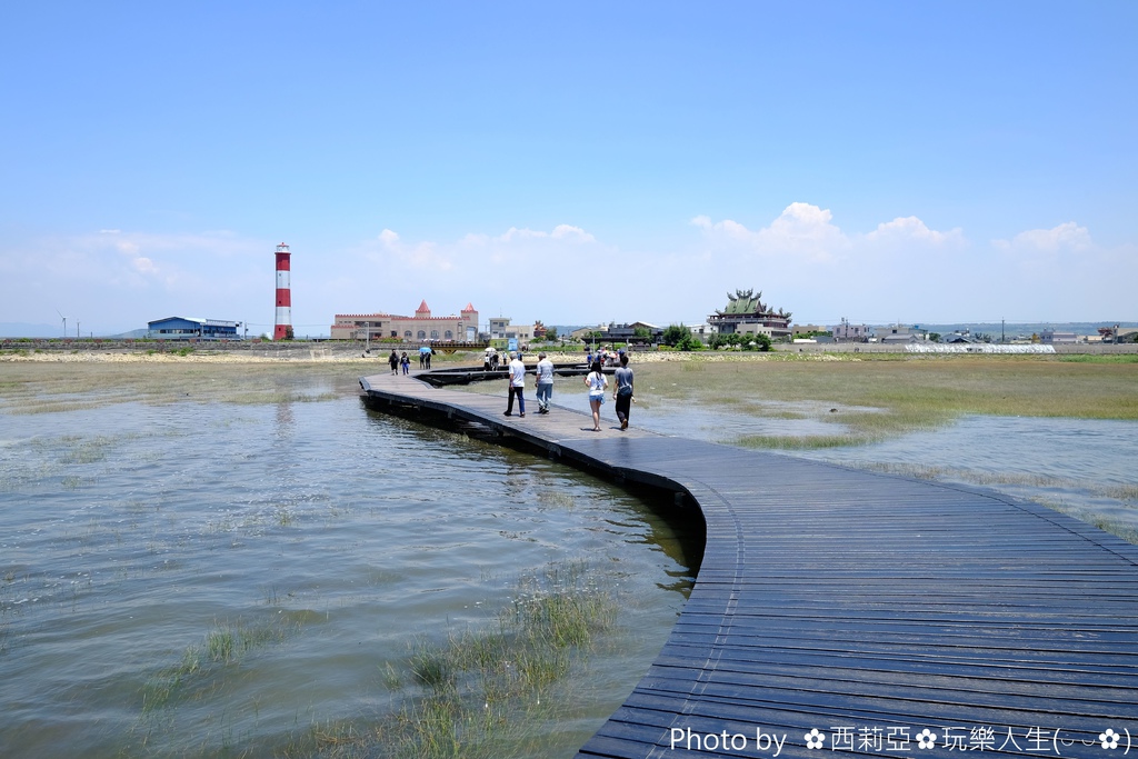 台中清水區｜高美濕地景觀橋 台中海線最美之雙塔柱雙弧曲線橋 