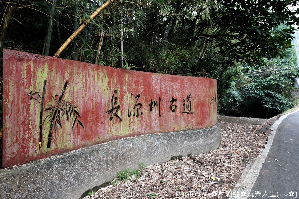 南投鹿谷鄉｜小半天長源圳古道(長源圳生態步道)  竹林般美景